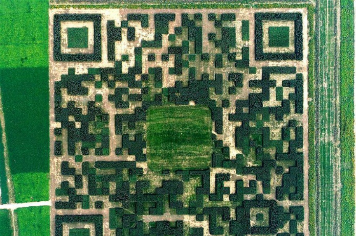 Chinezen maken gigantische QR-code met 130.000 bomen