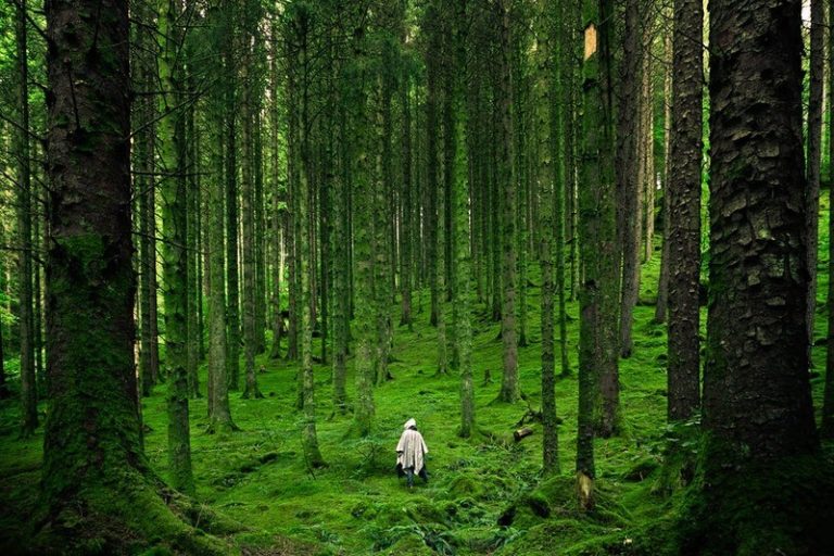 Man verstopt zich tien jaar in het bos om aan het gezaag van zijn vrouw te ontsnappen